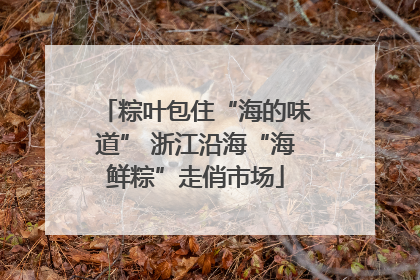 粽叶包住“海的味道” 浙江沿海“海鲜粽”走俏市场
