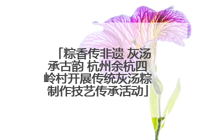 粽香传非遗 灰汤承古韵 杭州余杭四岭村开展传统灰汤粽制作技艺传承活动