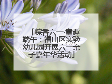 粽香六一·童趣端午：福山区实验幼儿园开展六一亲子嘉年华活动