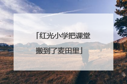 红光小学把课堂搬到了麦田里