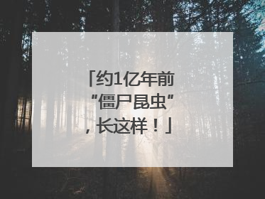 约1亿年前“僵尸昆虫”，长这样！