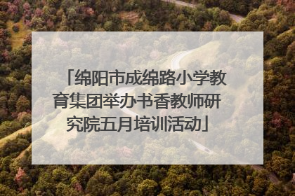 绵阳市成绵路小学教育集团举办书香教师研究院五月培训活动