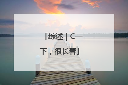 综述｜C一下，很长春