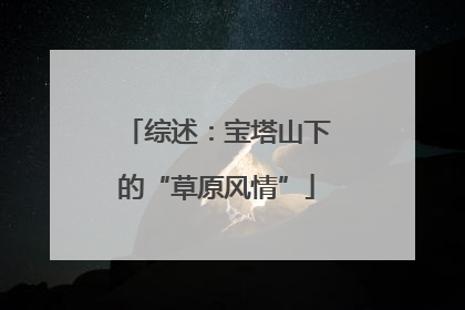 综述：宝塔山下的“草原风情”