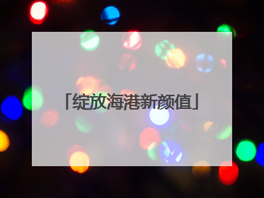 绽放海港新颜值