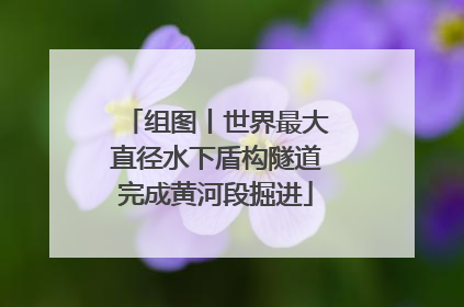组图丨世界最大直径水下盾构隧道完成黄河段掘进