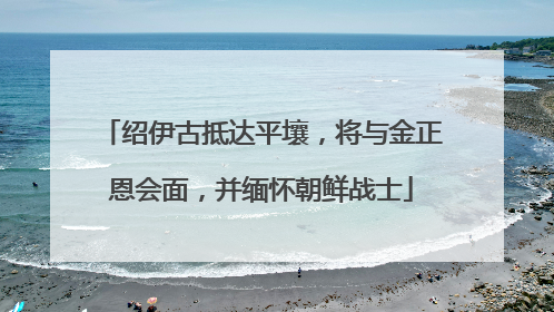 绍伊古抵达平壤，将与金正恩会面，并缅怀朝鲜战士