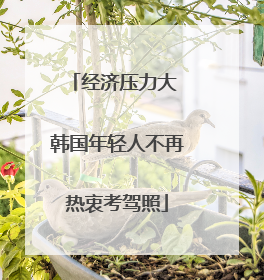 经济压力大 韩国年轻人不再热衷考驾照