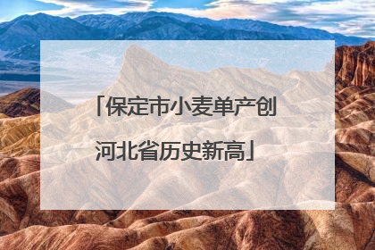 保定市小麦单产创河北省历史新高