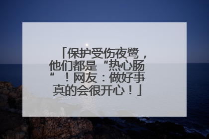 保护受伤夜鹭，他们都是“热心肠”！网友：做好事真的会很开心！