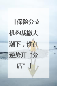 保险分支机构裁撤大潮下，谁在逆势开“分店”