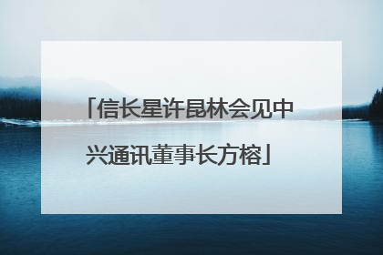 信长星许昆林会见中兴通讯董事长方榕