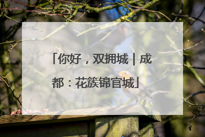你好，双拥城｜成都：花簇锦官城
