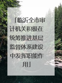 临沂全市审计机关积极在统筹推进基层监督体系建设中发挥职能作用
