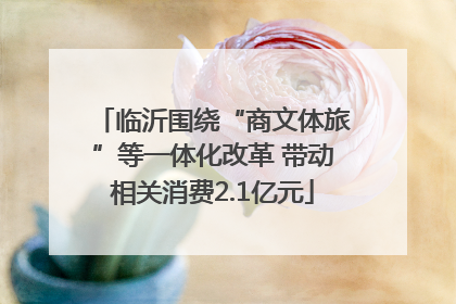 临沂围绕“商文体旅”等一体化改革 带动相关消费2.1亿元