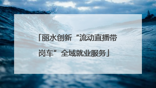 丽水创新“流动直播带岗车”全域就业服务