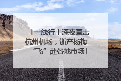 一线行丨深夜直击杭州机场，浙产杨梅“飞”赴各地市场