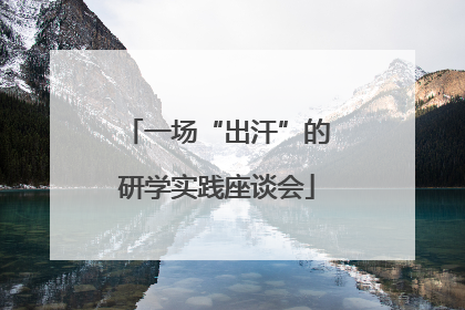 一场“出汗”的研学实践座谈会