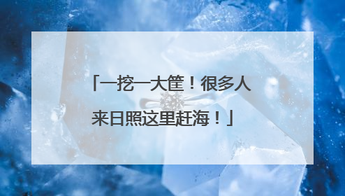 一挖一大筐！很多人来日照这里赶海！