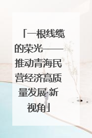 一根线缆的荣光——推动青海民营经济高质量发展·新视角