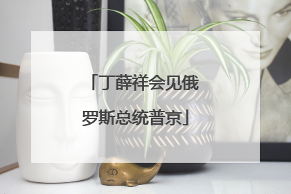 丁薛祥会见俄罗斯总统普京