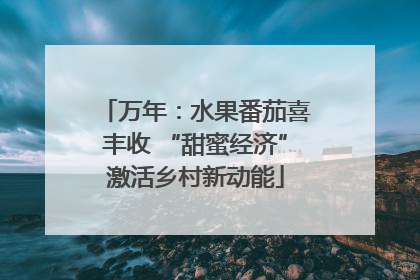 万年：水果番茄喜丰收 “甜蜜经济”激活乡村新动能