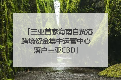 三亚首家海南自贸港跨境资金集中运营中心落户三亚CBD