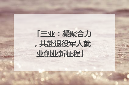 三亚：凝聚合力，共赴退役军人就业创业新征程