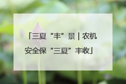 三夏“丰”景｜农机安全保“三夏”丰收