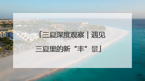 三夏深度观察｜遇见三夏里的新“丰”景