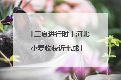 三夏进行时丨河北小麦收获近七成