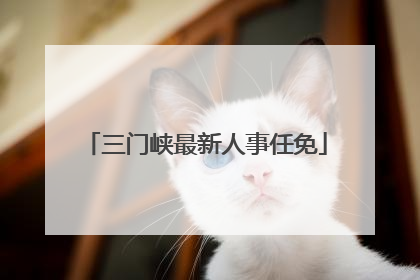 三门峡最新人事任免