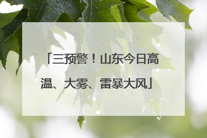 三预警！山东今日高温、大雾、雷暴大风