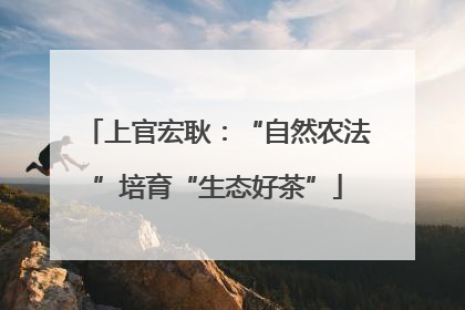 上官宏耿：“自然农法”培育“生态好茶”