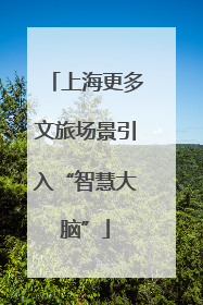 上海更多文旅场景引入“智慧大脑”
