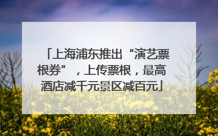 上海浦东推出“演艺票根券”，上传票根，最高酒店减千元景区减百元