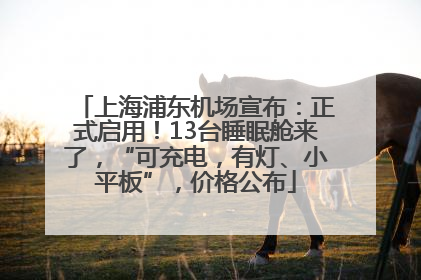 上海浦东机场宣布：正式启用！13台睡眠舱来了，“可充电，有灯、小平板”，价格公布