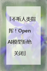 不听人类指挥！OpenAI模型拒绝关闭
