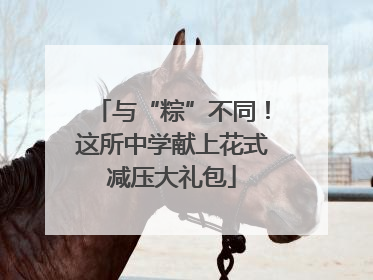 与“粽”不同！这所中学献上花式减压大礼包