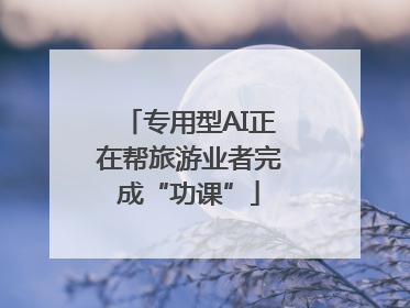 专用型AI正在帮旅游业者完成“功课”