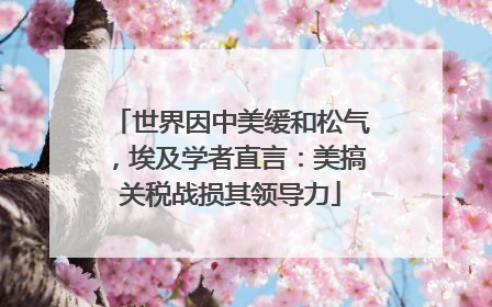 世界因中美缓和松气，埃及学者直言：美搞关税战损其领导力