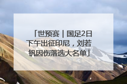 世预赛｜国足2日下午出征印尼，刘若钒因伤落选大名单