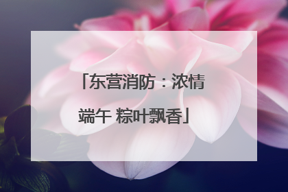 东营消防：浓情端午 粽叶飘香