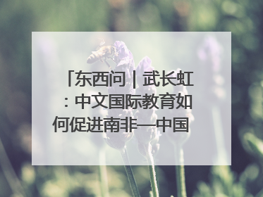 东西问｜武长虹：中文国际教育如何促进南非—中国人文交流？