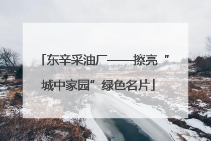 东辛采油厂——擦亮“城中家园”绿色名片