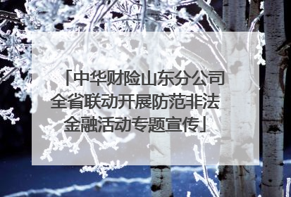 中华财险山东分公司全省联动开展防范非法金融活动专题宣传
