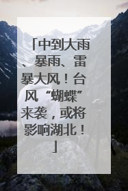 中到大雨、暴雨、雷暴大风！台风“蝴蝶”来袭，或将影响湖北！