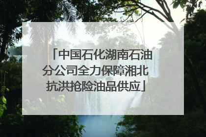 中国石化湖南石油分公司全力保障湘北抗洪抢险油品供应