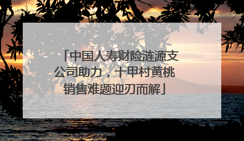 中国人寿财险涟源支公司助力，十甲村黄桃销售难题迎刃而解