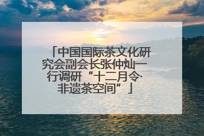 中国国际茶文化研究会副会长张仲灿一行调研“十二月令·非遗茶空间”